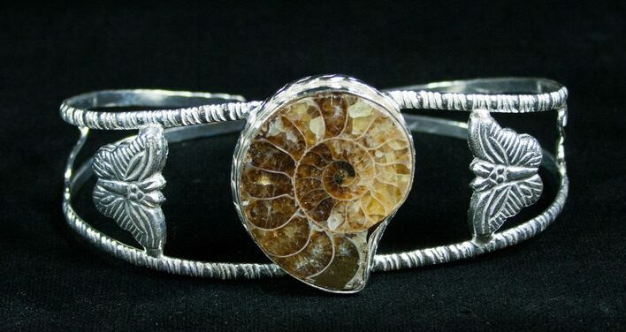 Beautiful Ammonite Fossil Bracelet #4619
